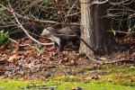 DSC_6745k.jpg