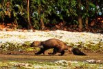 DSC_6761k.jpg