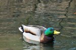DSC_6817k.jpg