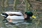 DSC_6822k.jpg