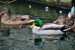 DSC_6856k.jpg