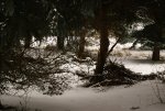 DSC05167_900.jpg