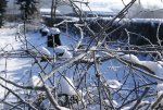 DSC05237_900.jpg
