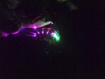 2013-02-09 20.35.30.jpg