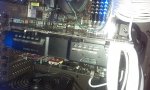 IMAG0109.jpg