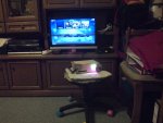 2013-02-11 17.29.30.jpg