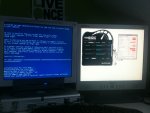 image-2502931174.jpg