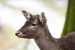 DSC_7108k.jpg