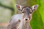 DSC_7121k.jpg