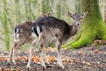 DSC_7205k.jpg