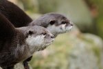 DSC_7681k.jpg