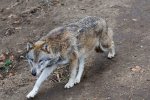 DSC_6951k.jpg