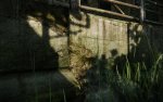 Crysis3 2013-02-23 14-30-32-23.jpg