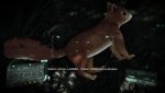 Das EichhÃ¶rnchen komplett Tesselliert (DX11).jpg