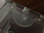 IMG_0168.jpg