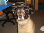DSC05097.jpg