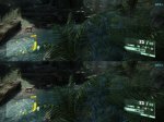 hirsch.jpg