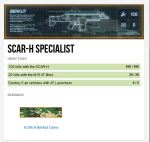 scarh.PNG