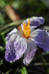 DSC_0205.jpg