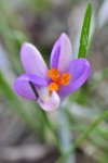 DSC_0210.jpg