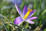 DSC_0220.jpg