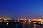 DSC_8393a.jpg