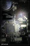 comp_IMG_1353.jpg