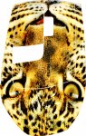 Leopard.jpg