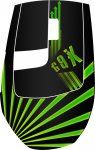 Mouse 6.jpg