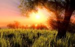 Crysis-Superheld-18.jpg
