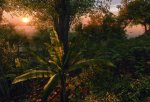 Crysis-Hawkeye-Puppy-00.jpg