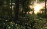 Crysis-Superheld-22449.jpg