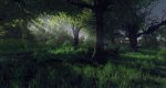 Crysis-Vanity-05.jpg