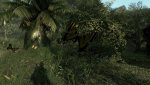 Crysis_PCGH-c1.jpg