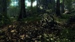 Crysis_PCGH-f1.jpg
