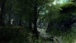 Crysis_PCGH-d6.jpg