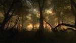 Crysis_PCGH-a2.jpg
