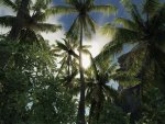 crysis64 2011-02-25 14-34-15-37.jpg