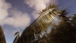 Crysis_PCGH_02.jpg