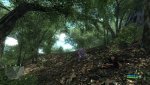 Crysis 2011-02-11 08-47-42-10.jpg