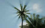 crysis64 2011-02-28 22-19-01-77.jpg