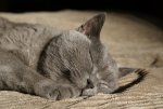 DSC05259_900.jpg