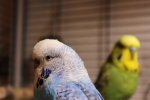 IMG_0531.jpg