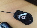 IMG_0058.jpg