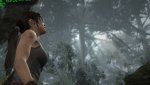 TombRaider_2013_03_11_07_42_58_075.jpg