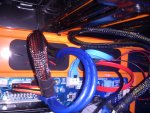 IMG_20130311_155153.jpg