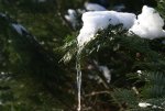 DSC05377_900.jpg