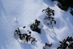 DSC05381_900.jpg