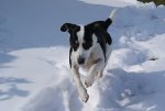 DSC05394_900.jpg