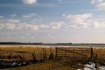 DSC_8783k.jpg